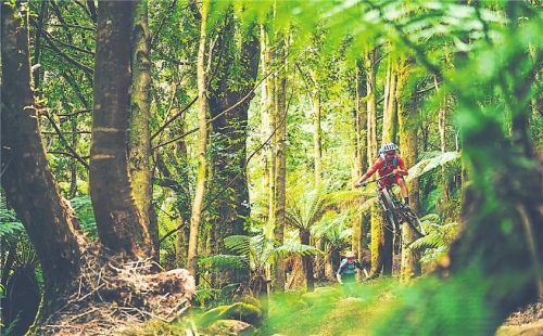 Verschlafener Ort Derby (o.) – und Dschungel pur (gr. F.).