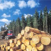 „Die Verschiebung um ein Jahr war überfällig“