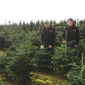 Der perfekte Christbaum braucht viel Liebe