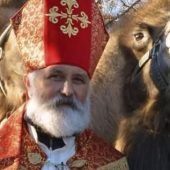 Adventsfreude im Zoo