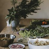 Heilpflanzen bei Erkältungen