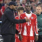 Geschmeichelt zum Afrika-Cup