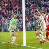 Hinten wild, vorne verhext