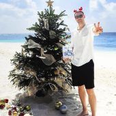 Sommer, Sonne, Christbaum