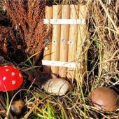 Naturlehrpfad wird vor Weihnachten zum Wichtelweg