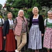 Gletschernelken backen für HeimatLichter