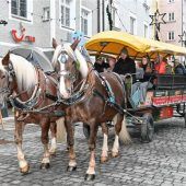 Mit der Pferdekutsche zum Christkindlmarkt
