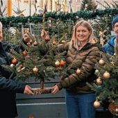Christbäume sorgen für Weihnachtsfreude