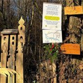 Traunsteiner Adventsrundgang mit Friedenslicht