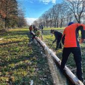 Neuen Maibaum gemeinsam gefällt