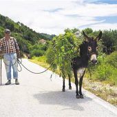 Makarska und das entspannte Leben
