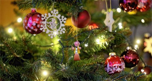 Alle Jahre wieder ziert ein Weihnachtsbaum die Stube vieler Menschen.