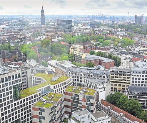 Begrünte Dächer in Städten (wie hier in Hamburg) werden immer mehr. Foto IMAGO/Joerg Boethling