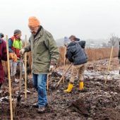 „Gemeinschaftswerk“ rettet Bachmuschel