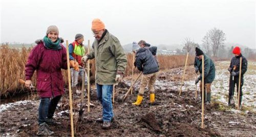 Bei der Arbeit: Beate Rutkowski (links) pflanzt mit den Helfern Bäume.Foto Lahr