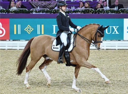 Benjamin Werndl und Quick Decision haben beim renommierten Louisdor-Preis für Aufmerksamkeit gesorgt.Foto Imago Images