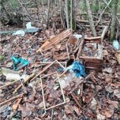 <p>Bienenkästen und Wachs-rahmen sind zerstört.</p>