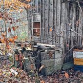 Unbekannte zerstören Bienenhaus