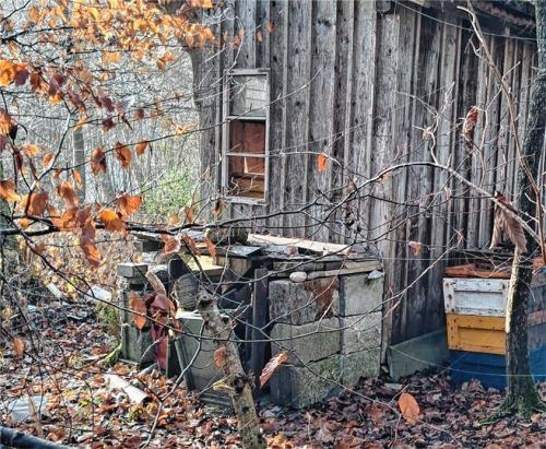 Das Bienenhaus von Familie Blaza aus Westerham ist von außen und von innen stark beschädigt. Die Suche nach dem Täter läuft. Fotos Privat