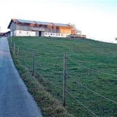Keine Hürden für Pferde-Auslauf