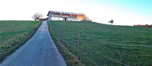 Das landwirtschaftliche Anwesen in Großrain benötigt Platz für einen Pferdeauslauf. Foto Stache