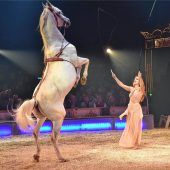 Peta kritisiert Weihnachtszirkus