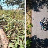 Aus Bahntrasse soll Radweg werden