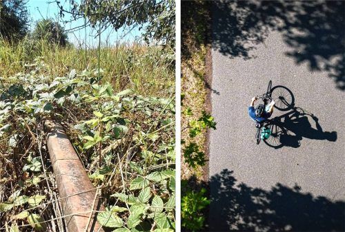Die Bahnlinie nach Marklkofen ist tot. Jetzt soll die Trasse zum Radweg umgenutzt werden. Fotos  Enzinger/pricture-alliance