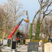 Drohende Schäden abgewendet