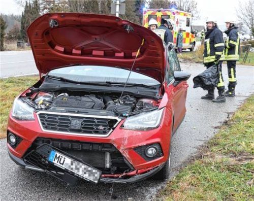 Ein Sekundenschlaf eines älteren Autolenkers war die Ursache für einen Unfall bei Weiding. Zum Glück wurde niemand verletzt.Foto FIB/Eß