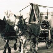 <p>Fuhrmann Alois Hinterstocker beim Stückguttransport, der bis 1952 mit einem Pferdefuhrwerk durchgeführt wurde. Foto Archiv Firma Knabl</p>
