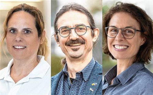 Informieren morgen an der Romed-Klinik Bad Aibling: (von links) die Referenten Dr. Sandra Sommerey, Stefan Wimmer und Christiane Abel. Foto Romed-Kliniken