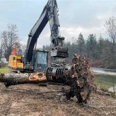 Inselausbau als „Strömungsteiler“ in der Alz