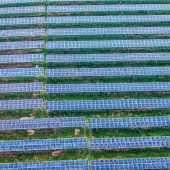 Vor Ort erzeugt, vor Ort verbraucht