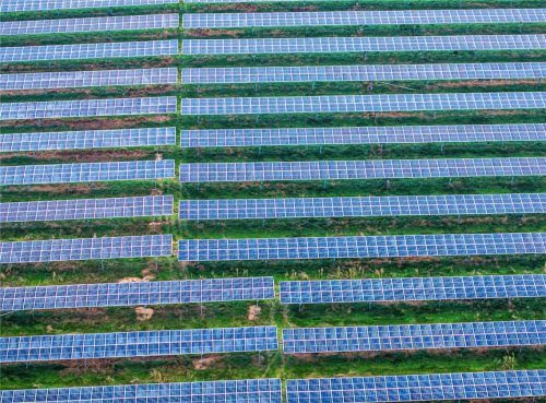 Solarmodule einer Agri-PV-Anlage: Auch in Bernau soll bald Ökostrom produziert werden.Foto  dpa