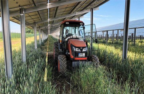 Sonnenstrom erzeugen und gleichzeitig die Fläche landwirtschaftlich nutzen: Das ermöglichen Agri-PV-Freiflächenanlagen. Der Bau einer solchen Anlage ist nun auch in Schönberg geplant.Foto  Q-Tac