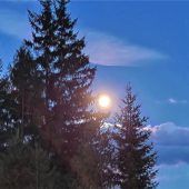 Stille Nacht im Salzburger Land