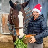 Weihnachtsgeschenke für das Tier