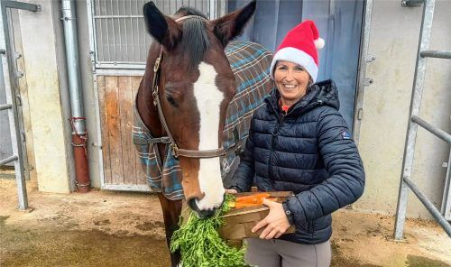 Stute Chica aus Hebertsham liebt Fressen über alles. Mit Karotten zu Weihnachten macht Besitzerin Kathi Heinz ihr die größte Freude. Foto K.Heinz