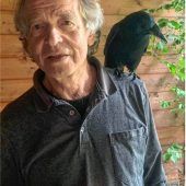 Der Krähen-Flüsterer