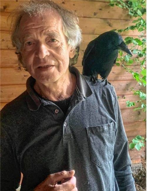 Wie Saatkrähen vergrämt werden können, erläutert der Experte Uwe Temper. Foto privat/picture alliance / dpa | Steffen Fuessel