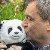 Söder erklärt den großen Panda-Coup