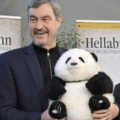 Der Panda-Pakt für München