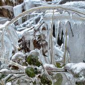 Szenen einer neuen Eiszeit