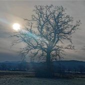 Mystische Momente im Mangfalltal