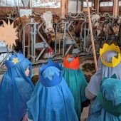 Sternsinger auch bei den Tieren