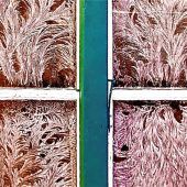 Hinter aller Kälte wartet das Leben