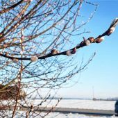 Erste Zeichen deuten Richtung Frühling