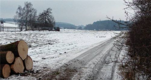 Auf der Seite von Erpertsham, direkt neben der Bundesstraße 304, ist das Grundstück im Eigentum der Gemeinde, das in Bezug auf die Planung des neuen Feuerwehrgerätehauses als Standort von allen Beteiligten als sehr geeignet beurteilt wird. Foto burlefinger