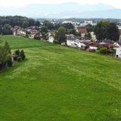 Fünf Bewerber, fünf Meinungen